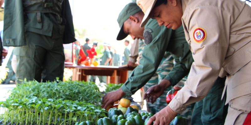 FANB-comprometidos-con-producción-de-alimentos