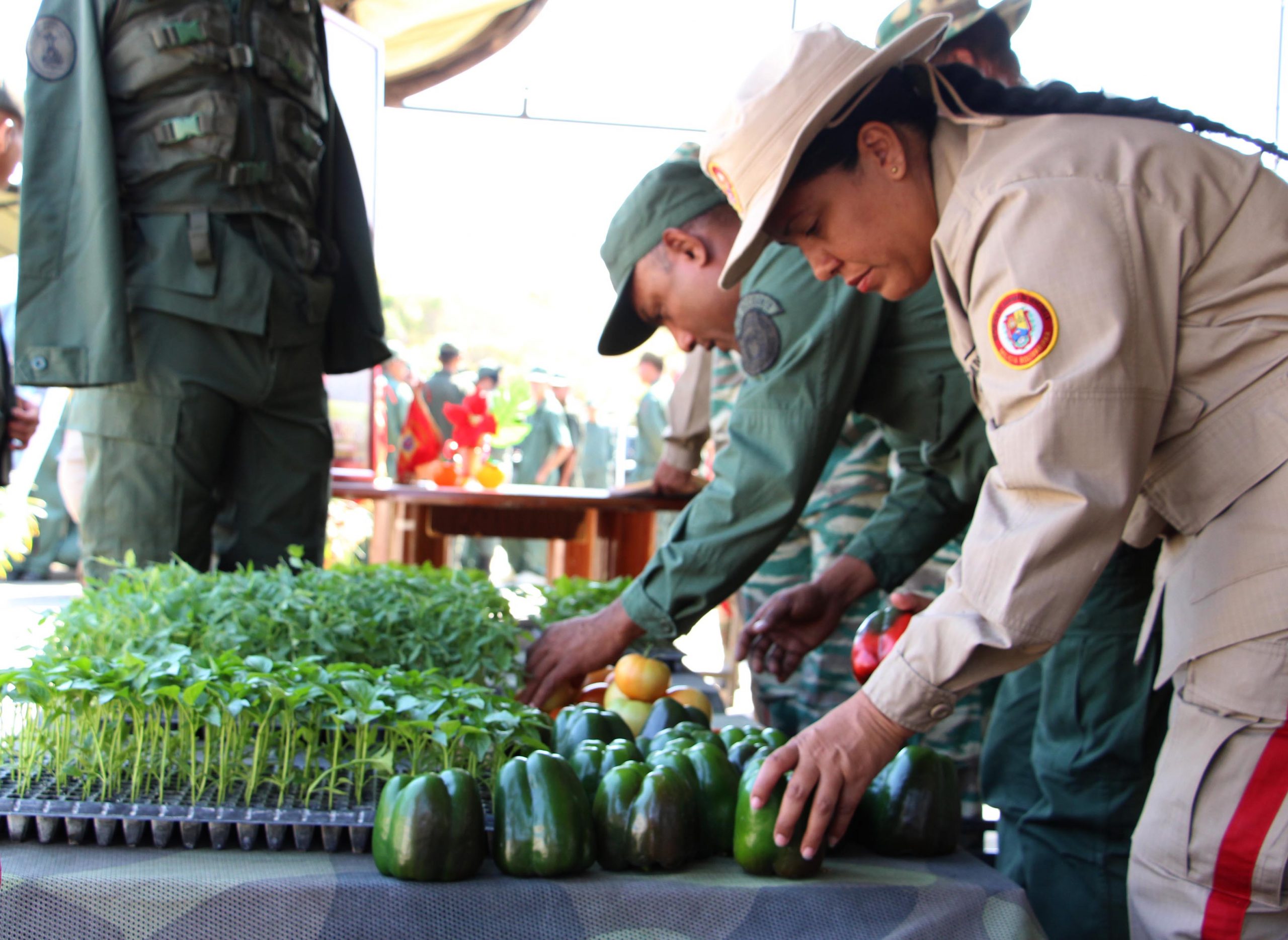 militarizacion-del-sector-alimentos-y-laboral-suspende-garantias-para-ddhh