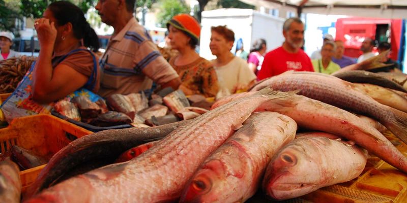 dl-feria-de-pescado-1