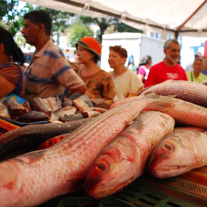 dl-feria-de-pescado-1