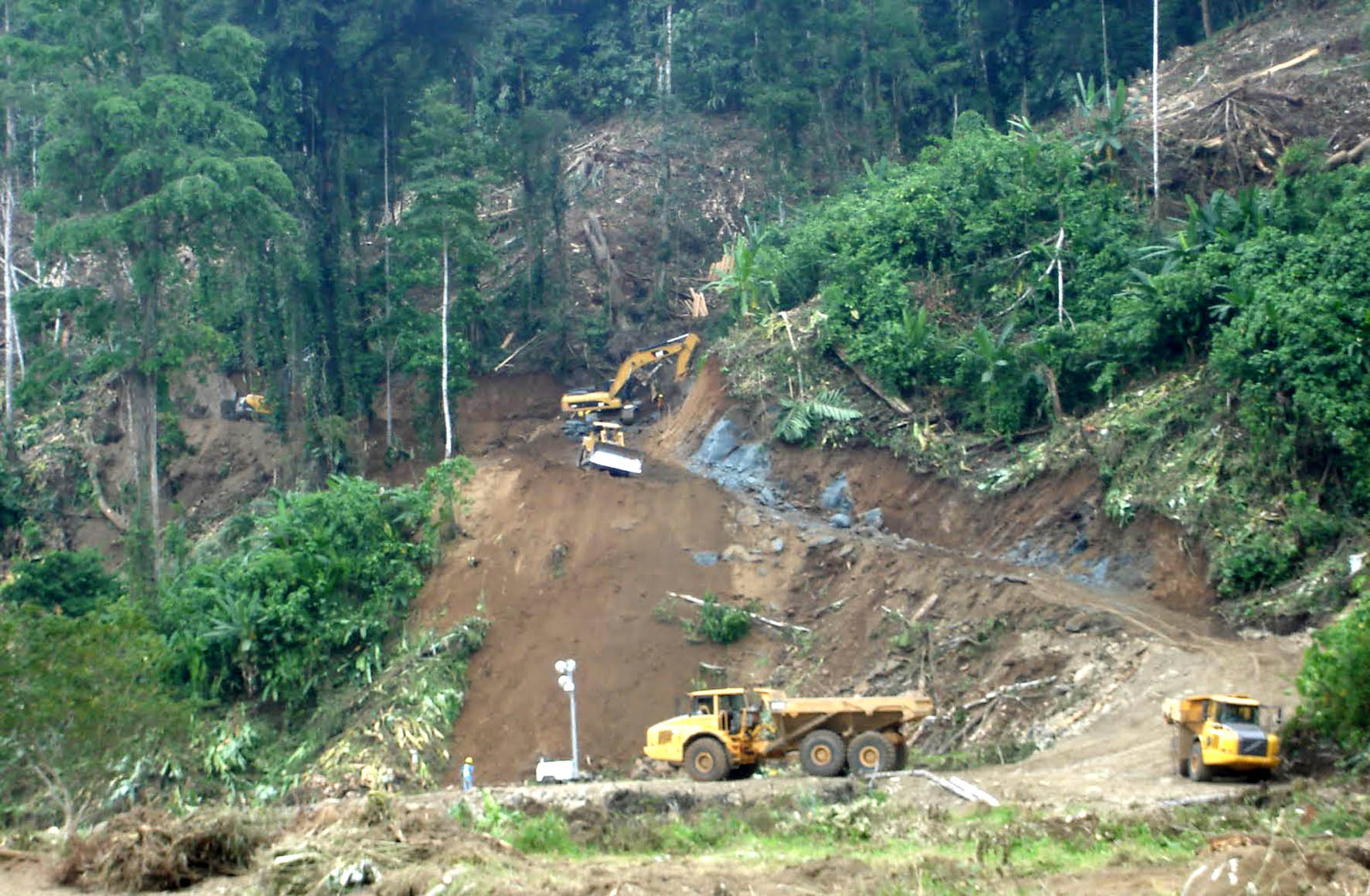 corte-penal-internacional-juzgara-casos-de-destruccion-del-medio-ambiente