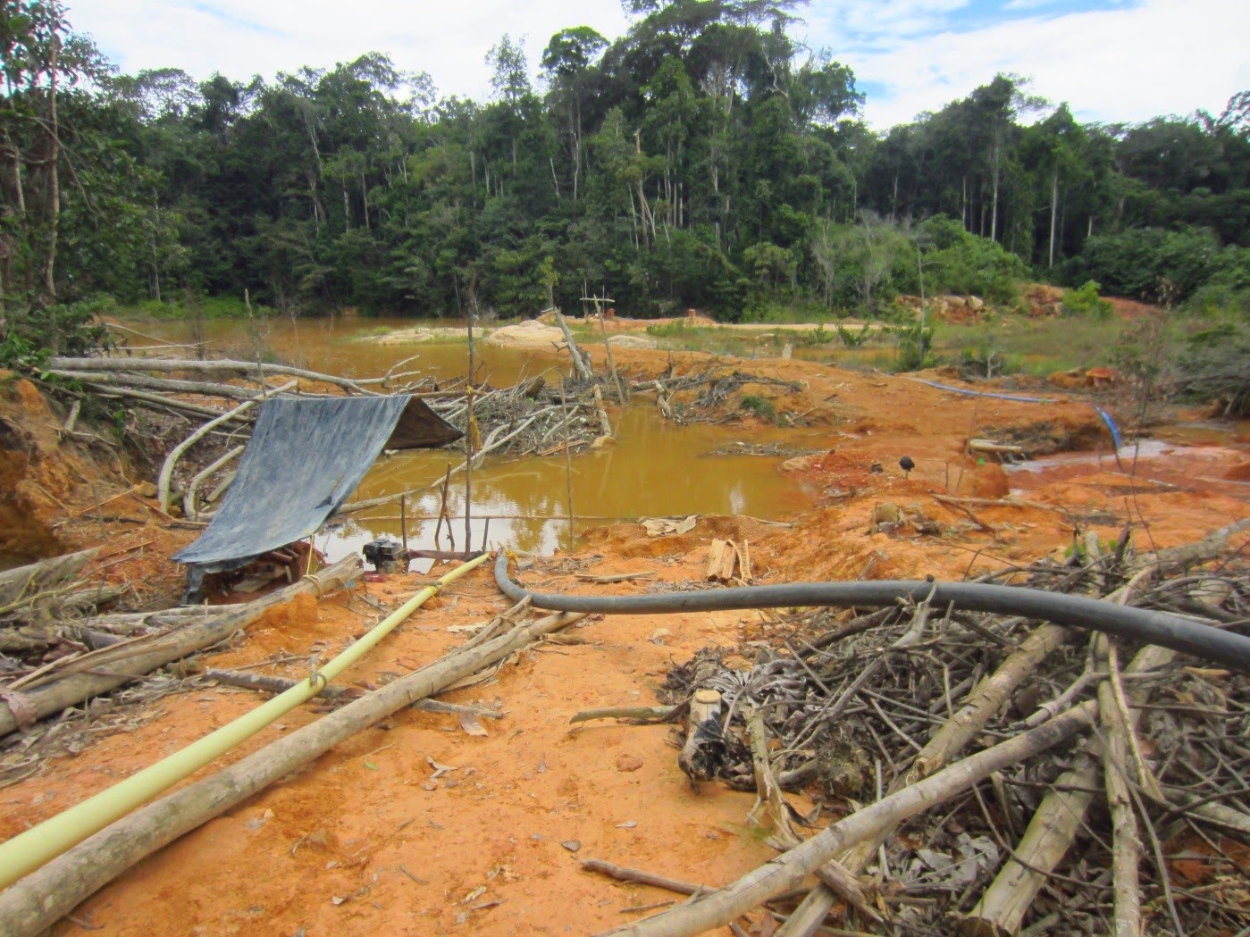 gnb-logro-reducir-ilicitos-ambientales-en-bolivar