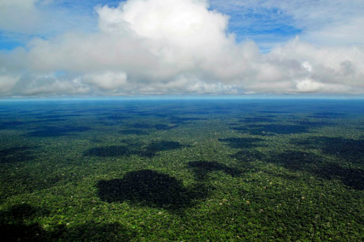 el-papa-convoca-un-sinodo-especial-para-la-region-pan-amazonica