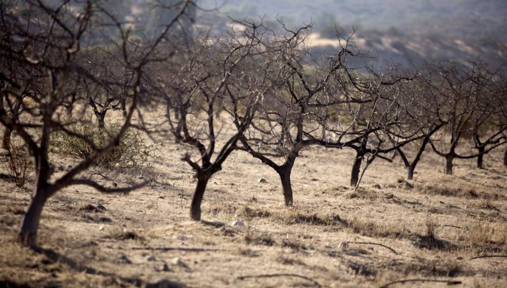 el-sur-mas-preocupado-por-el-cambio-climatico-que-el-norte