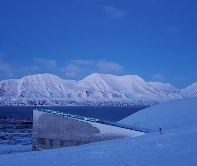 semillas-Svalbard