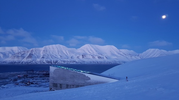 semillas-Svalbard