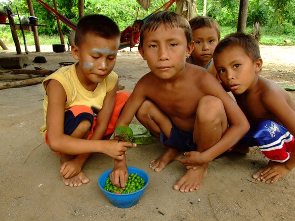indigenas-huottoja-de-betania-topocho-tambien-son-atacados-por-la-malaria