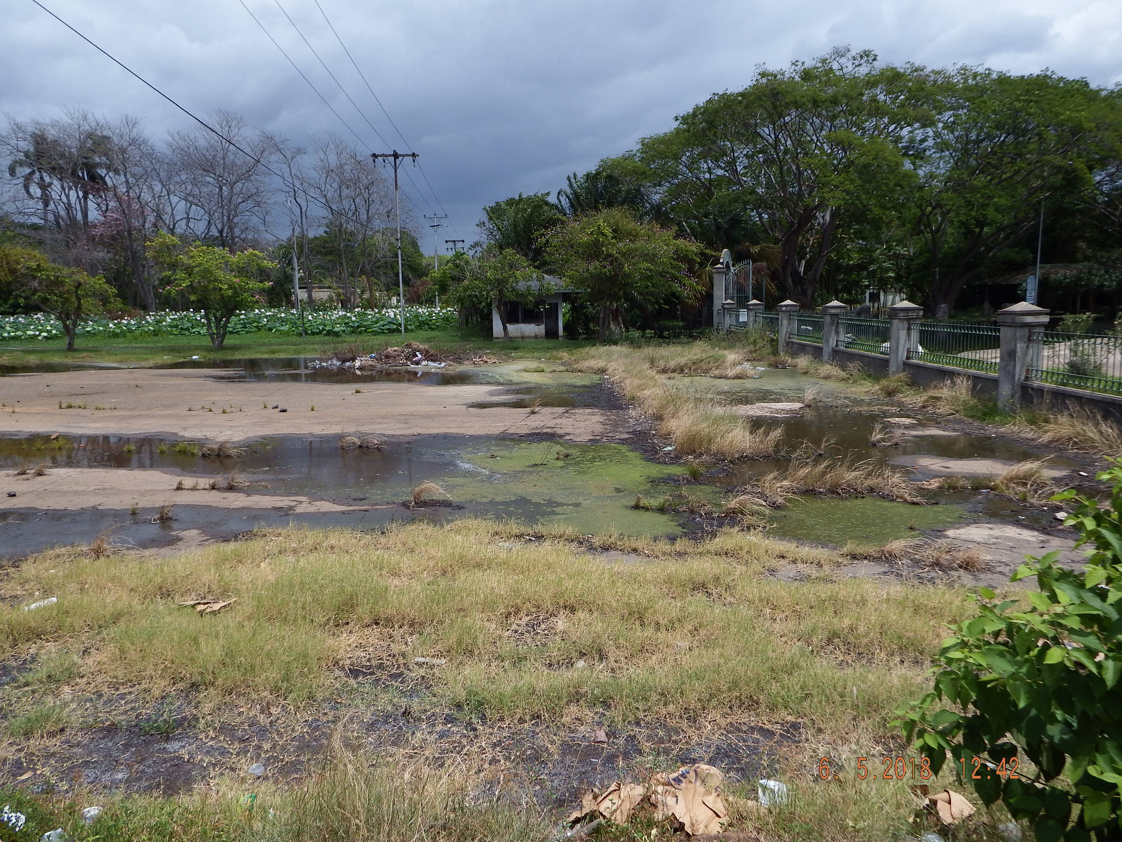 ruinas-y-aguas-negras-jardin-botanico-del-orinoco