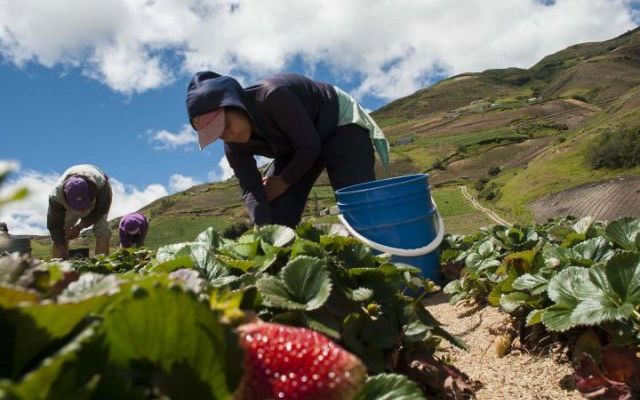 agricultores-640x442