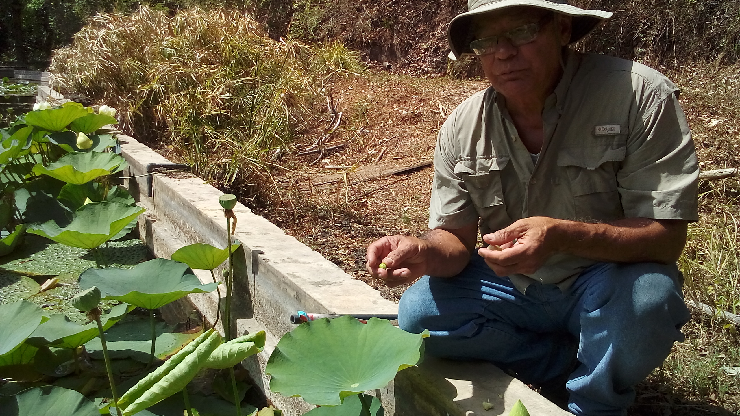 los-que-se-resisten-a-morir-en-el-jardin-botanico-de-caracas