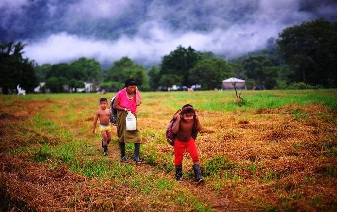 ZULIA-INDIGENAS