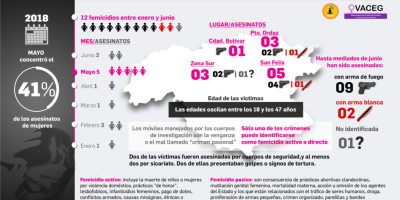 Infografia-Femicidios-en-el-estado-Bolívar