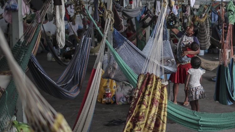 fotos brasil waraos