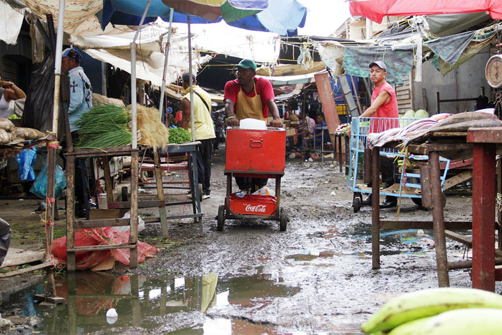 Maracaibo mercado Las Pulgas