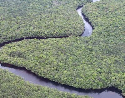 web3-river-orinoco-venezuela-delta-amazonas-shutterstock_128630957-gary-yim-ai