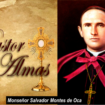 Monseñor Salvador Montes de Oca - Pastor de Almas