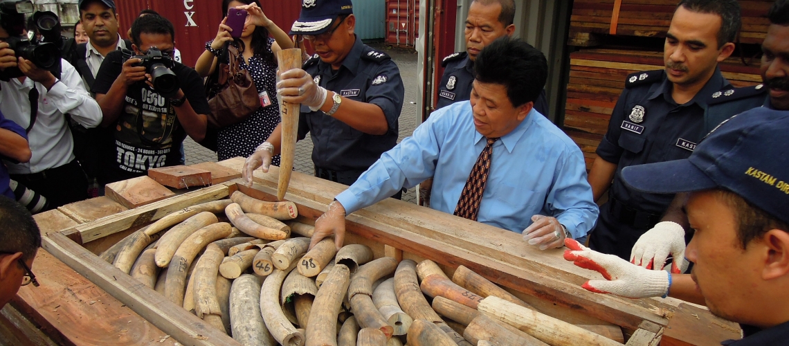 estos-son-los-costos-reales-de-la-tala-de-arboles-la-pesca-y-el-comercio-de-vida-silvestre-ilegales