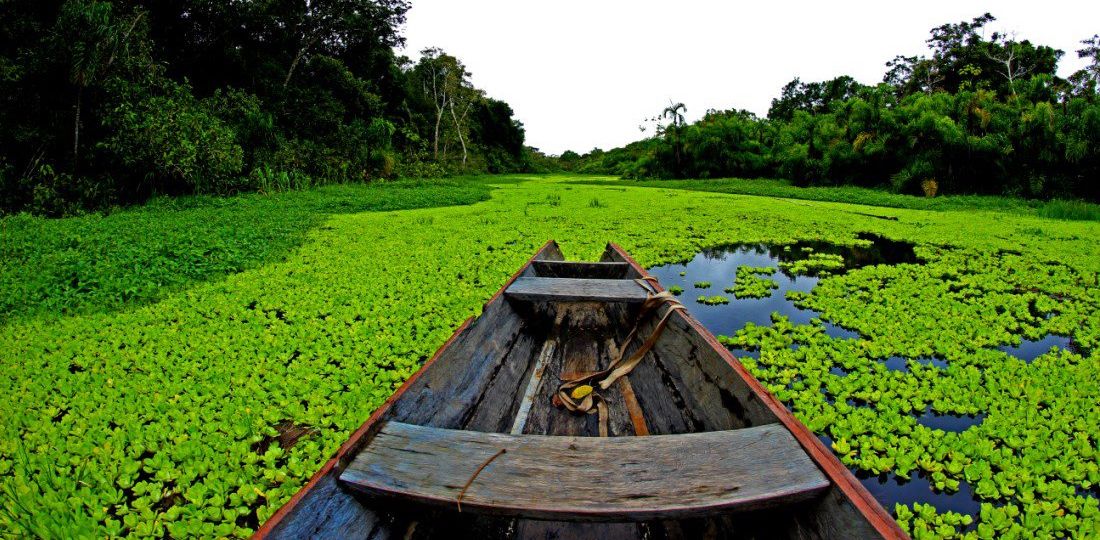 Canoa-Amazonía