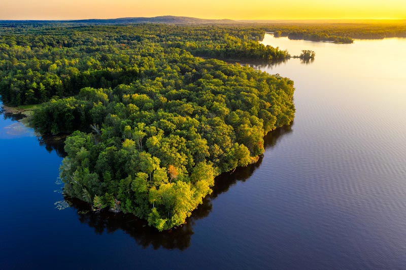 querida-amazonia-o-los-suenos-de-francisco