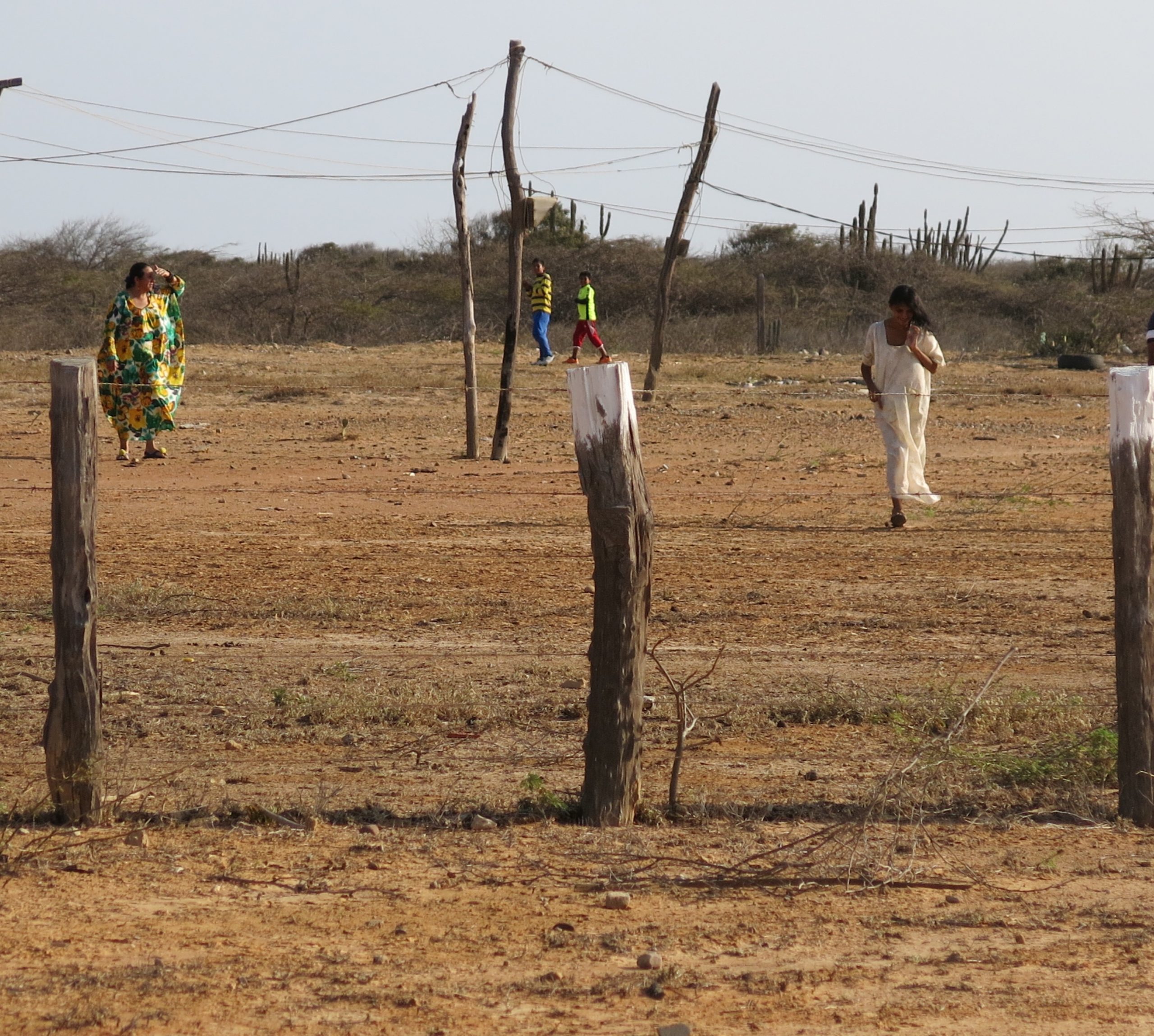 la-guajira-entre-la-pandemia-del-covid-19-y-el-desgobierno