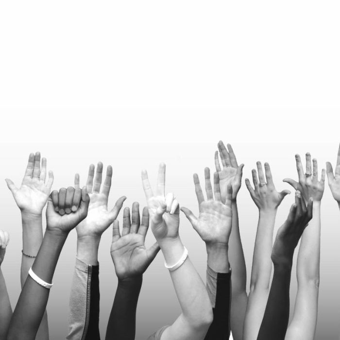 participacion