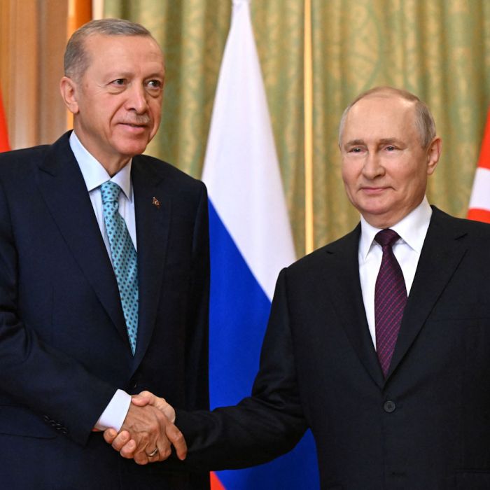 Russian President Putin and Turkish President Erdogan meet in Sochi