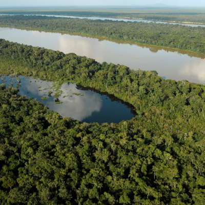 Amazonía