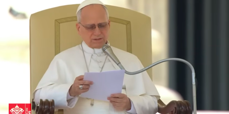 Papa León XIV audiencia