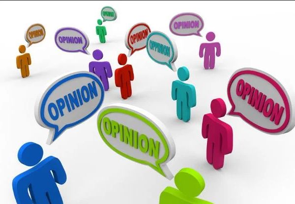 opinion